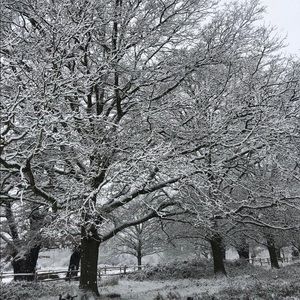 Meet your Posher, Jean